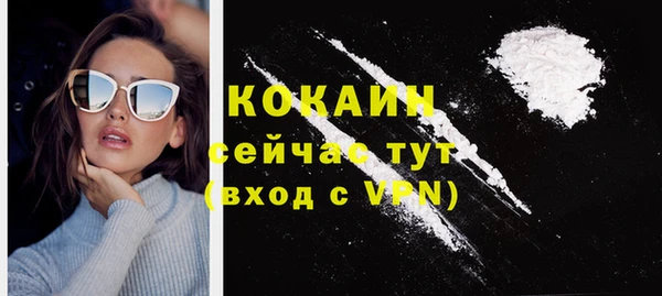 прущий лед Новозыбков