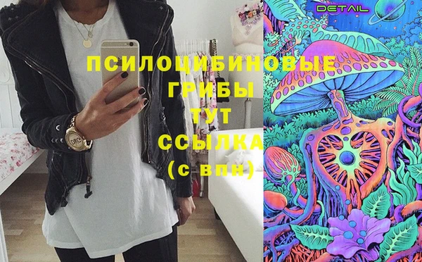 прущий лед Новозыбков