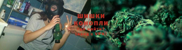 прущий лед Новозыбков