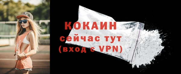 первитин Новодвинск