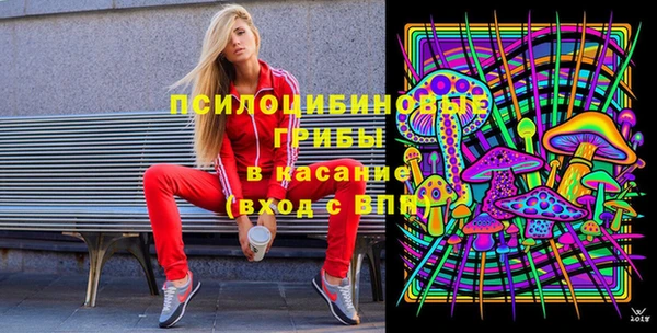 первитин Новодвинск