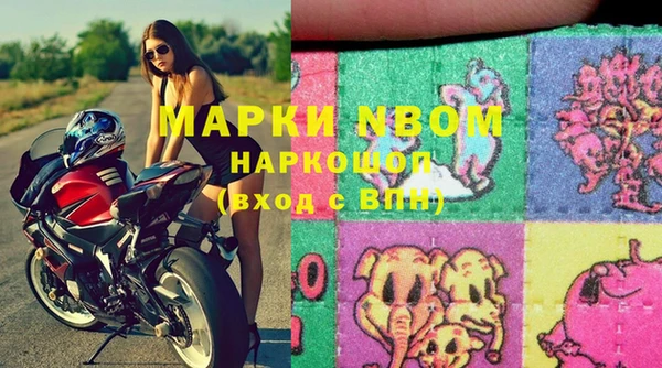 прущий лед Новозыбков