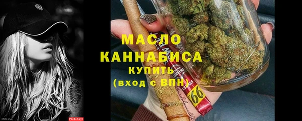 прущий лед Новозыбков