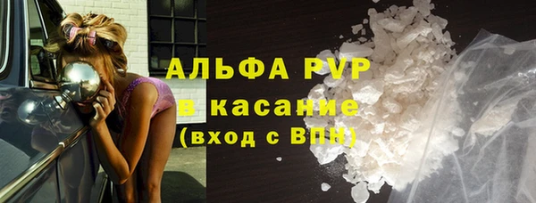 прущий лед Новозыбков