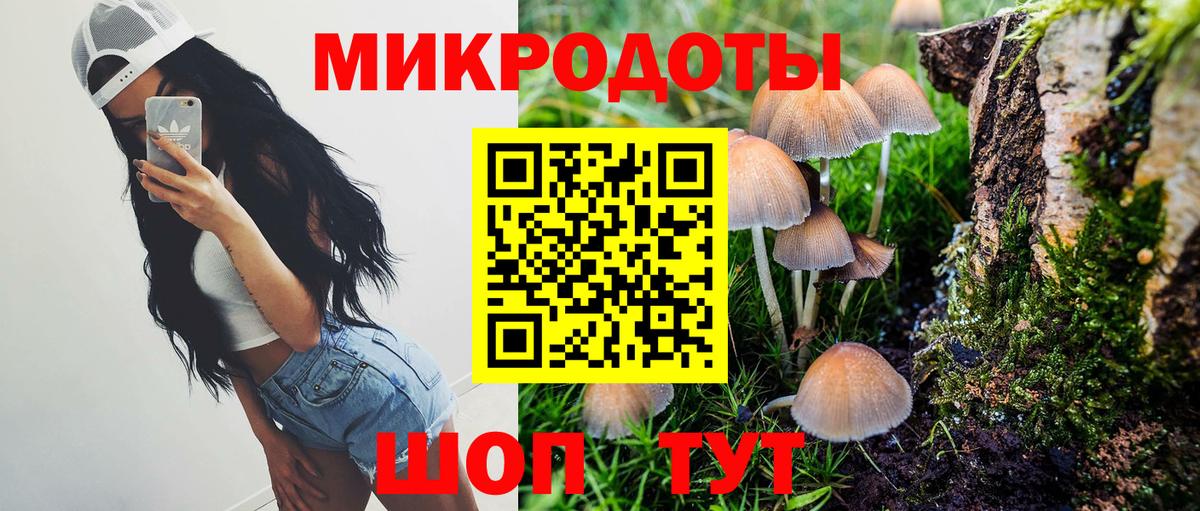 Псилоцибиновые грибы Psilocybe Ртищево