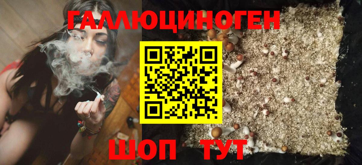 Ртищево  Галлюциногенные грибы MAGIC MUSHROOMS  закладки  Вход с VPN  Псилоцибиновые грибы Psilocybine cubensis 